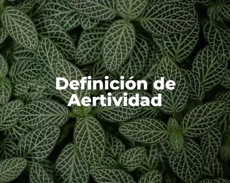 Definición de Aertividad