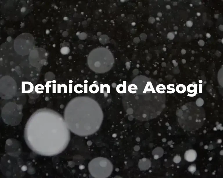Definición de Aesogi
