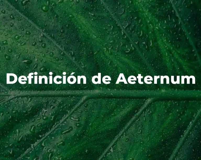 Definición de Aeternum
