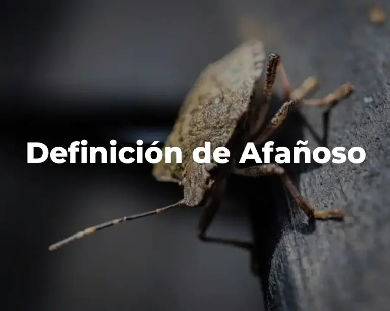 Definición de Afañoso