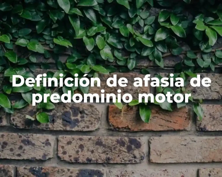 Definición de afasia de predominio motor
