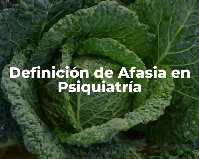 Definición de Afasia en Psiquiatría