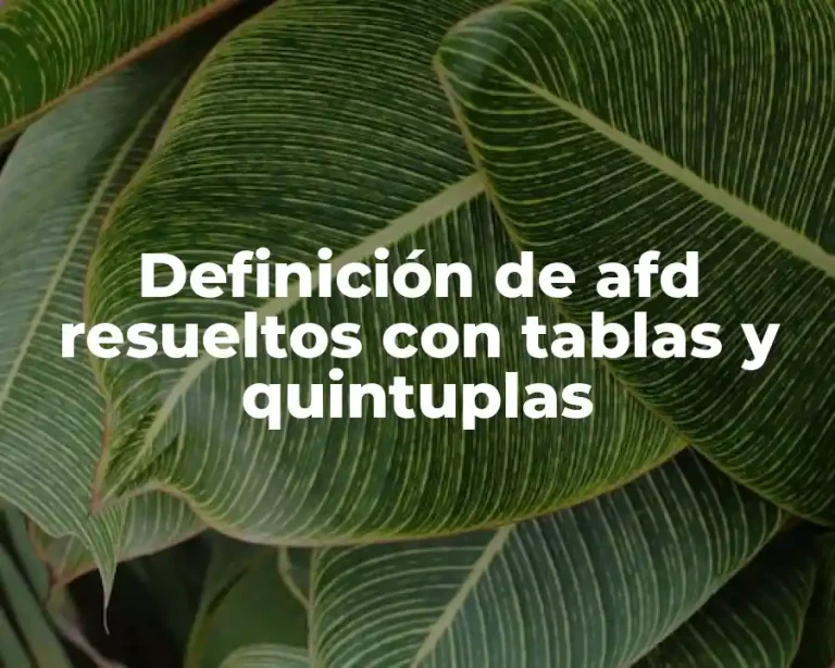 Definición de afd resueltos con tablas y quintuplas