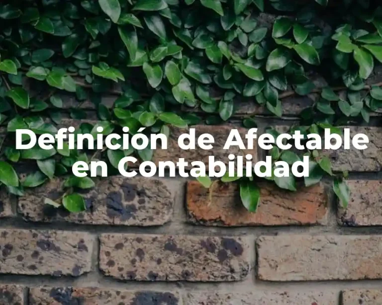 Definición de Afectable en Contabilidad