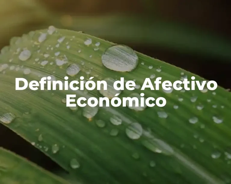 Definición de Afectivo Económico