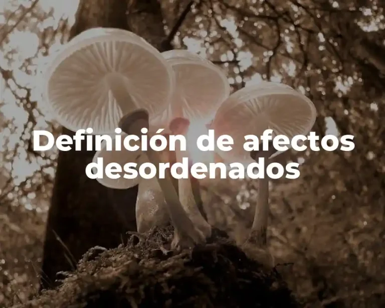 Definición de afectos desordenados