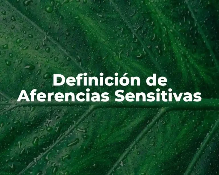 Definición de Aferencias Sensitivas