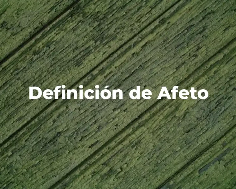 Definición de Afeto