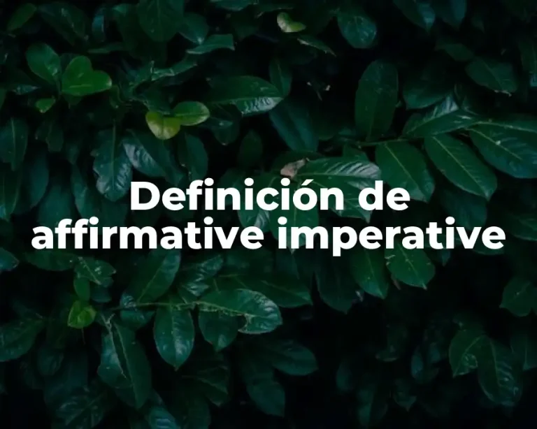 Definición de affirmative imperative