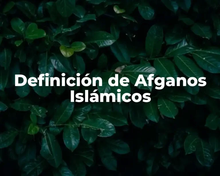 Definición de Afganos Islámicos