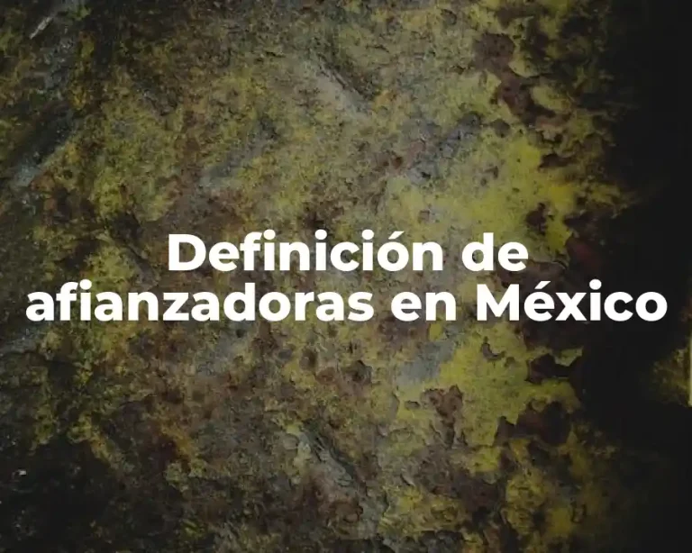Definición de afianzadoras en México