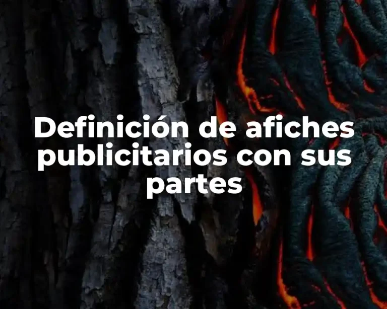 Definición de afiches publicitarios con sus partes