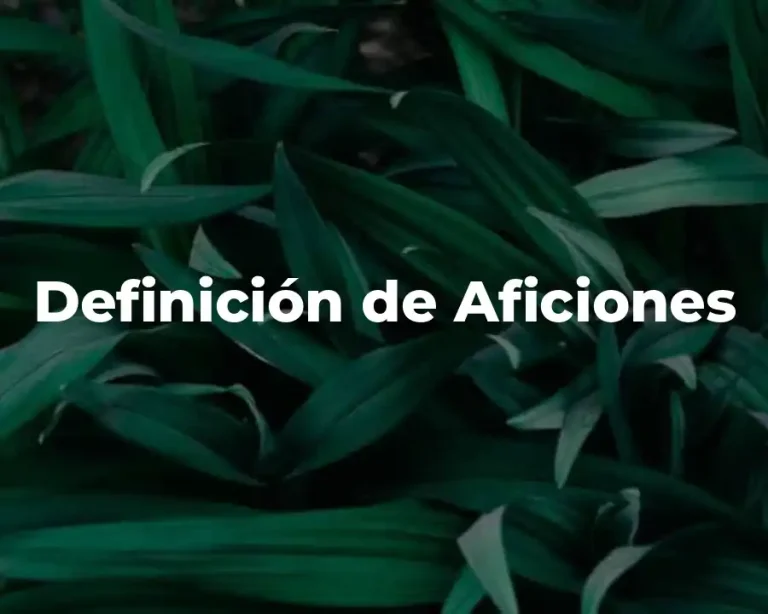 Definición de Aficiones