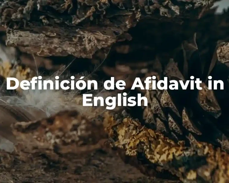 Definición de Afidavit in English