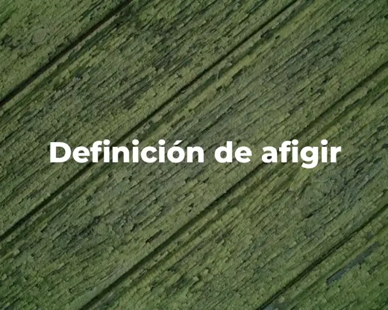Definición de afigir