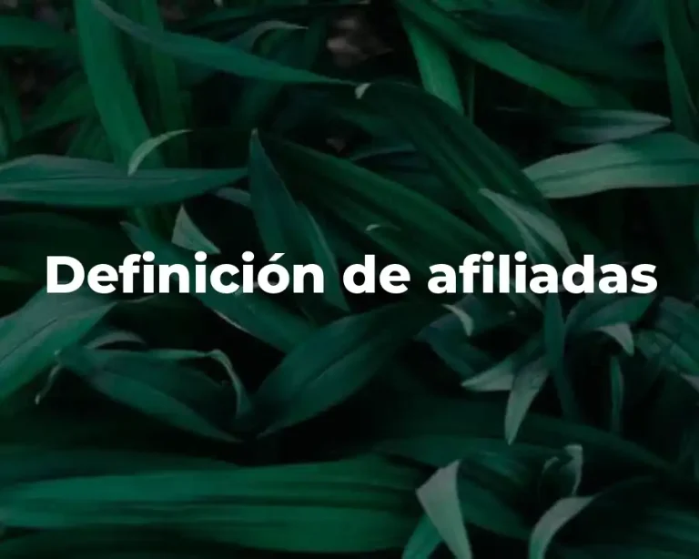 Definición de afiliadas