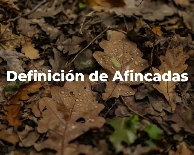 Definición de Afincadas