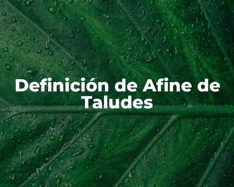 Definición de Afine de Taludes