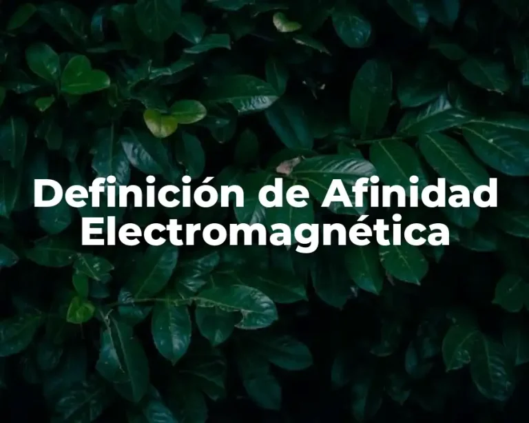 Definición de Afinidad Electromagnética