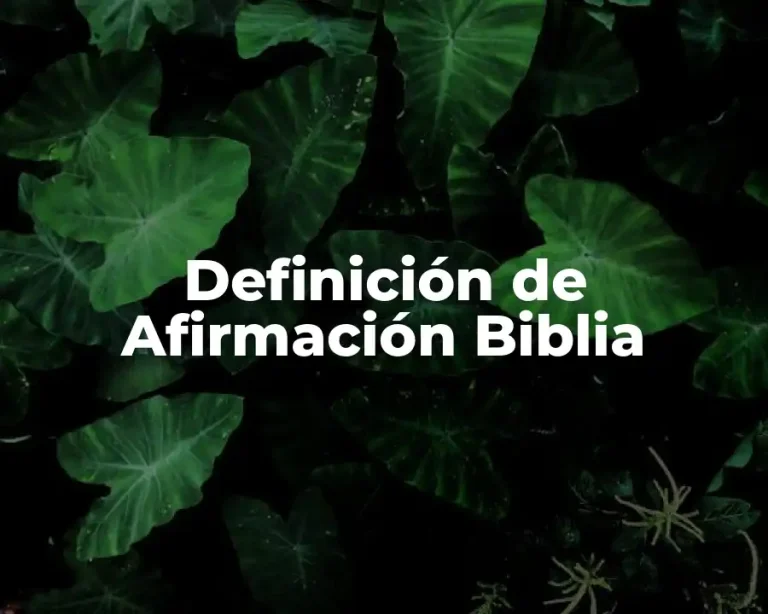Definición de Afirmación Biblia