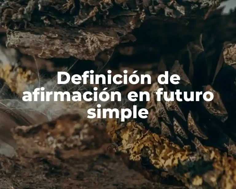 Definición de afirmación en futuro simple