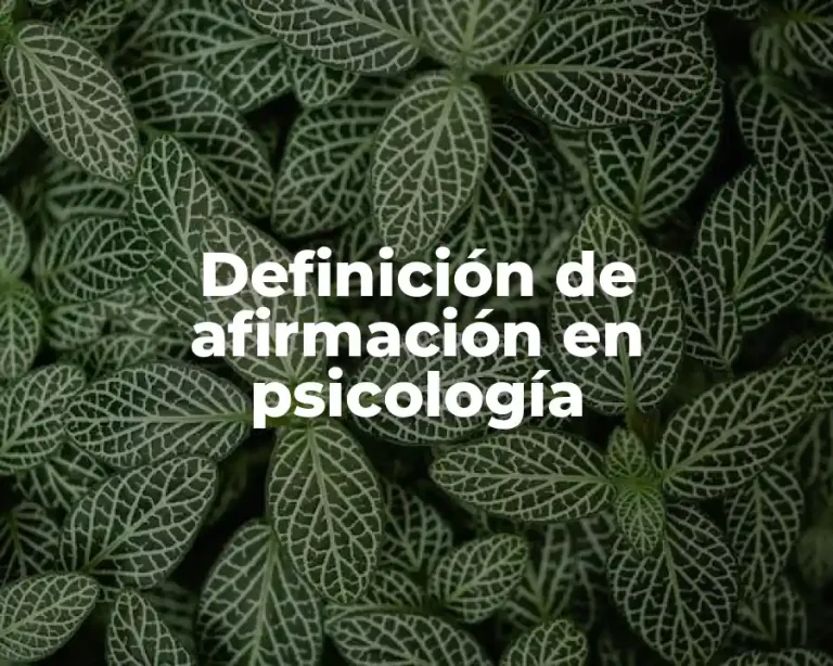 Definición de afirmación en psicología