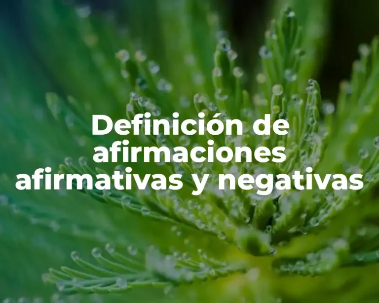 Definición de afirmaciones afirmativas y negativas