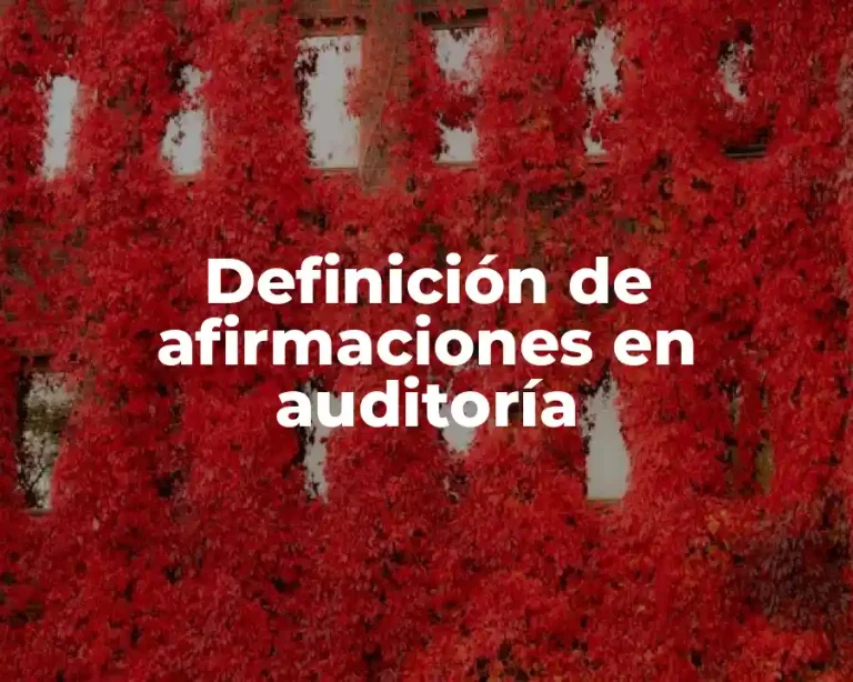 Definición de afirmaciones en auditoría