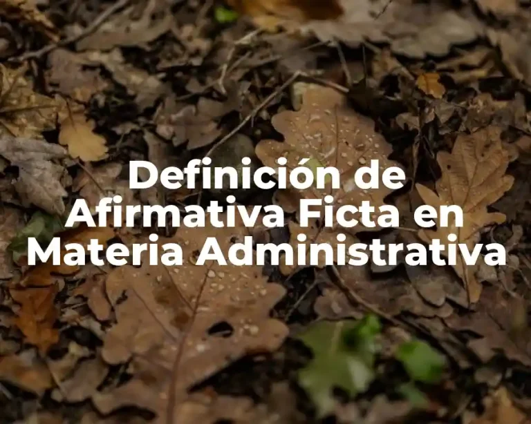 Definición de Afirmativa Ficta en Materia Administrativa