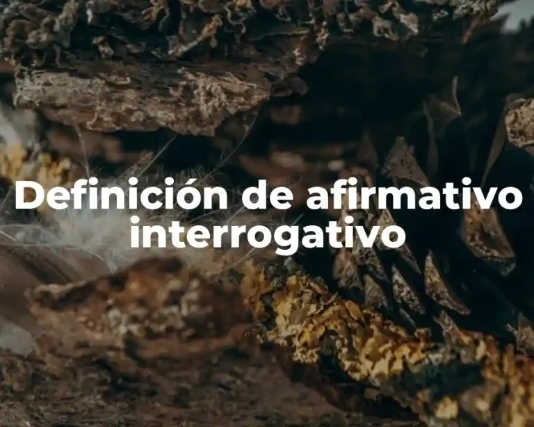 Definición de afirmativo interrogativo