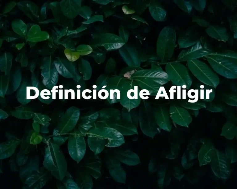 Definición de Afligir