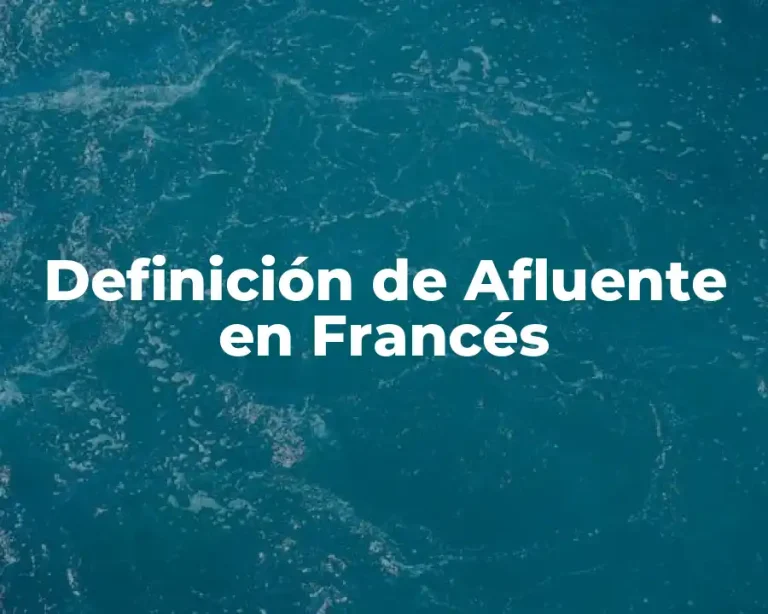 Definición de Afluente en Francés
