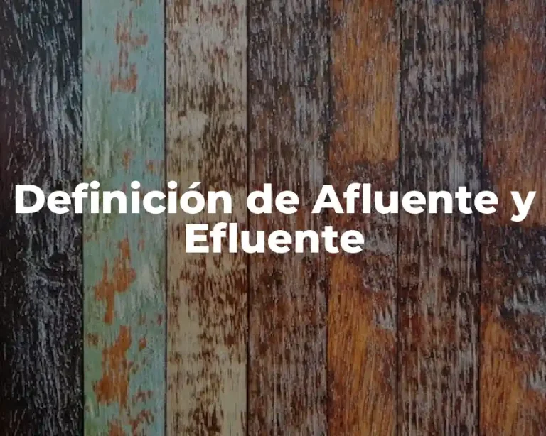 Definición de Afluente y Efluente