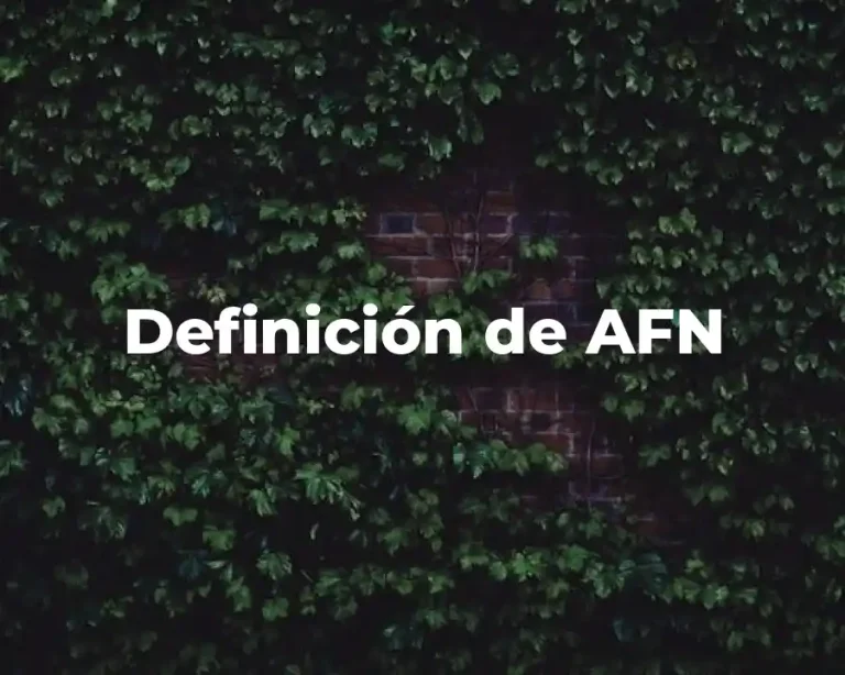 Definición de AFN