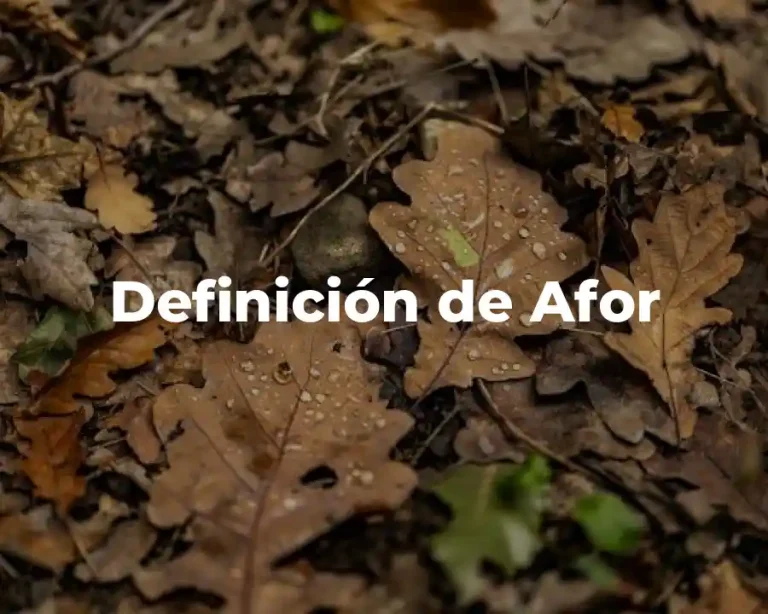 Definición de Afor