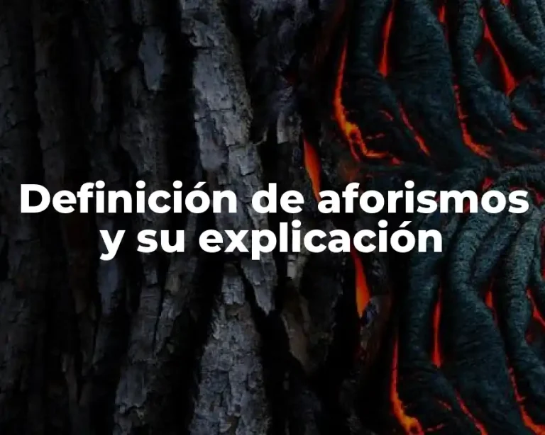 Definición de aforismos y su explicación