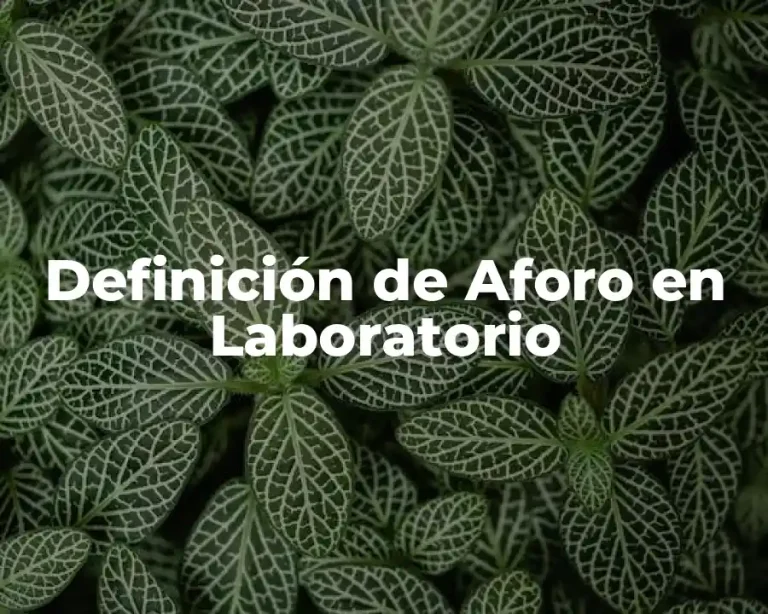 Definición de Aforo en Laboratorio