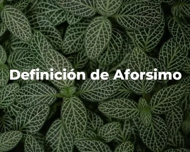 Definición de Aforsimo
