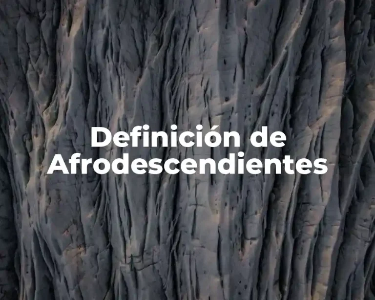 Definición de Afrodescendientes