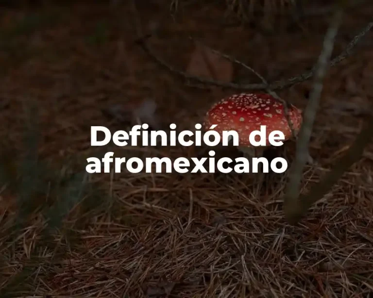 Definición de afromexicano