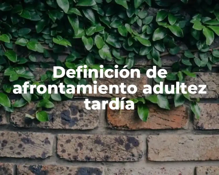 Definición de afrontamiento adultez tardía