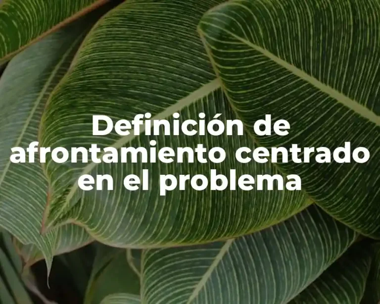 Definición de afrontamiento centrado en el problema