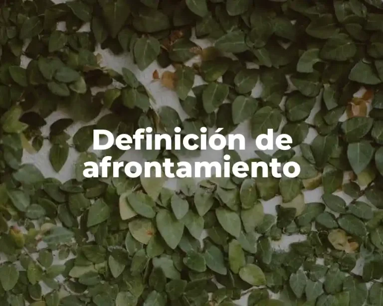 Definición de afrontamiento