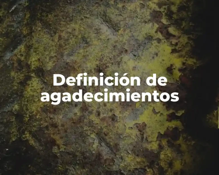 Definición de agadecimientos