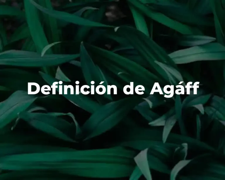 Definición de Agáff