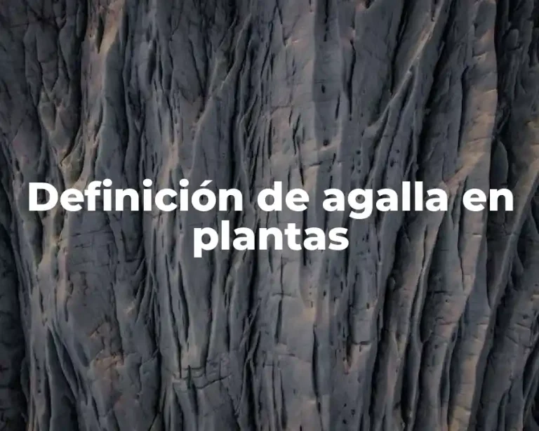 Definición de agalla en plantas