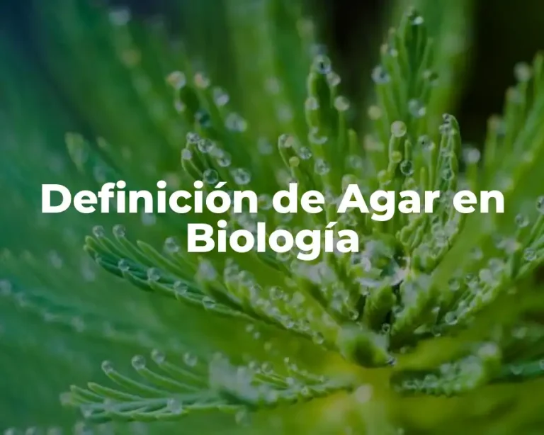 Definición de Agar en Biología