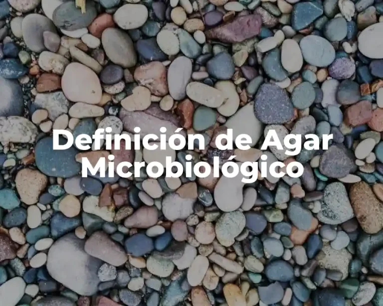 Definición de Agar Microbiológico