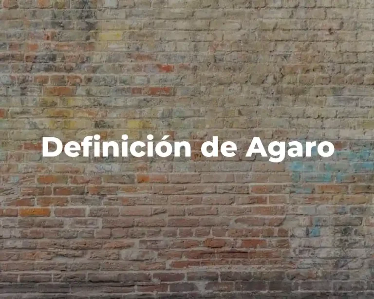 Definición de Agaro