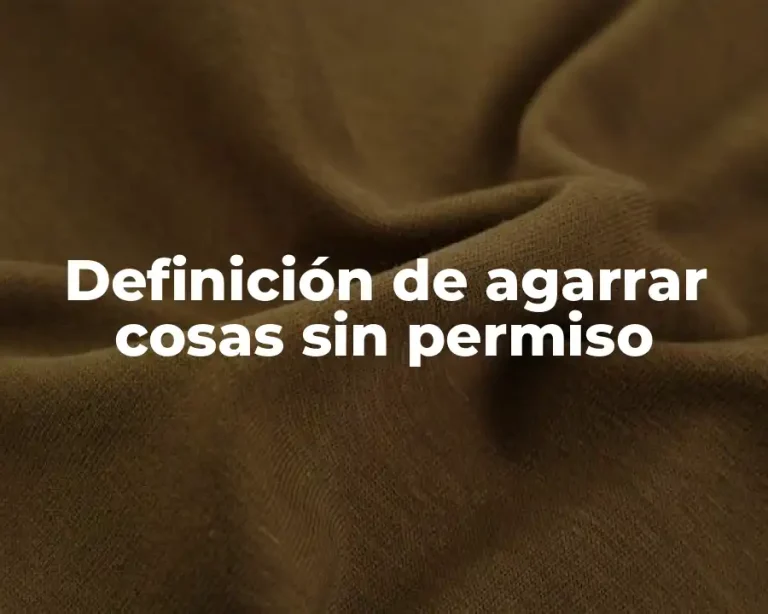 Definición de agarrar cosas sin permiso
